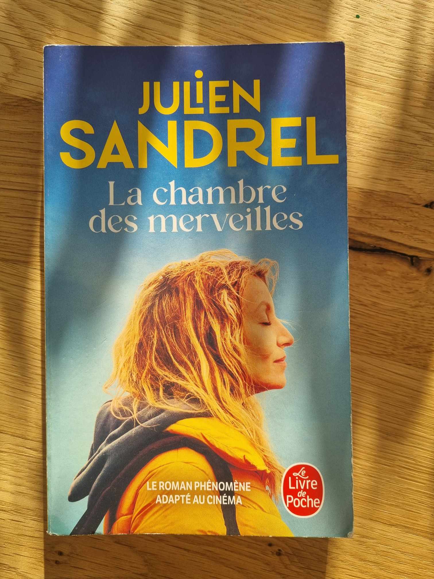 LA CHAMBRE DES MERVEILLES de JULIEN SANDREL